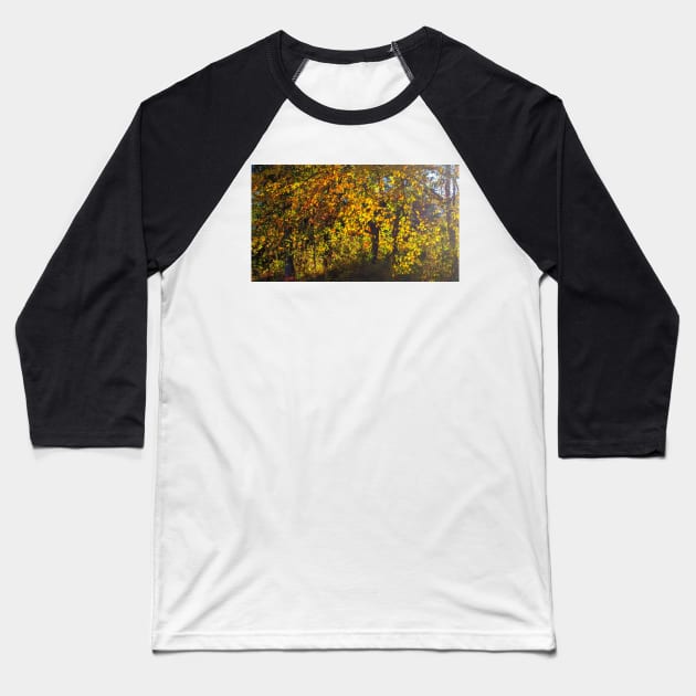 Golden Leaves glowing in the Sun Baseball T-Shirt by PandLCreations